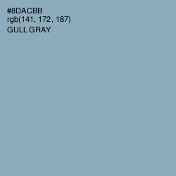 #8DACBB - Gull Gray Color Image
